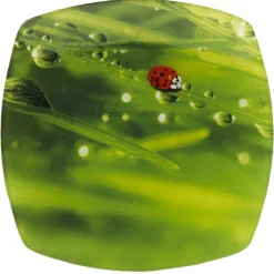 Assiette à dessert carrée verte design coccinelle|Gifi Discount