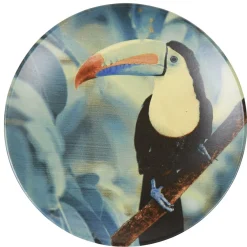 Assiette à dessert en faïence imprimé exotique toucan|Gifi Clearance