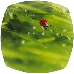 Assiette plate carrée verte design coccinelle|Gifi New