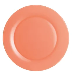 Assiette plate corail|Gifi