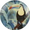 Assiette plate en faïence imprimé exotique toucan|Gifi Clearance