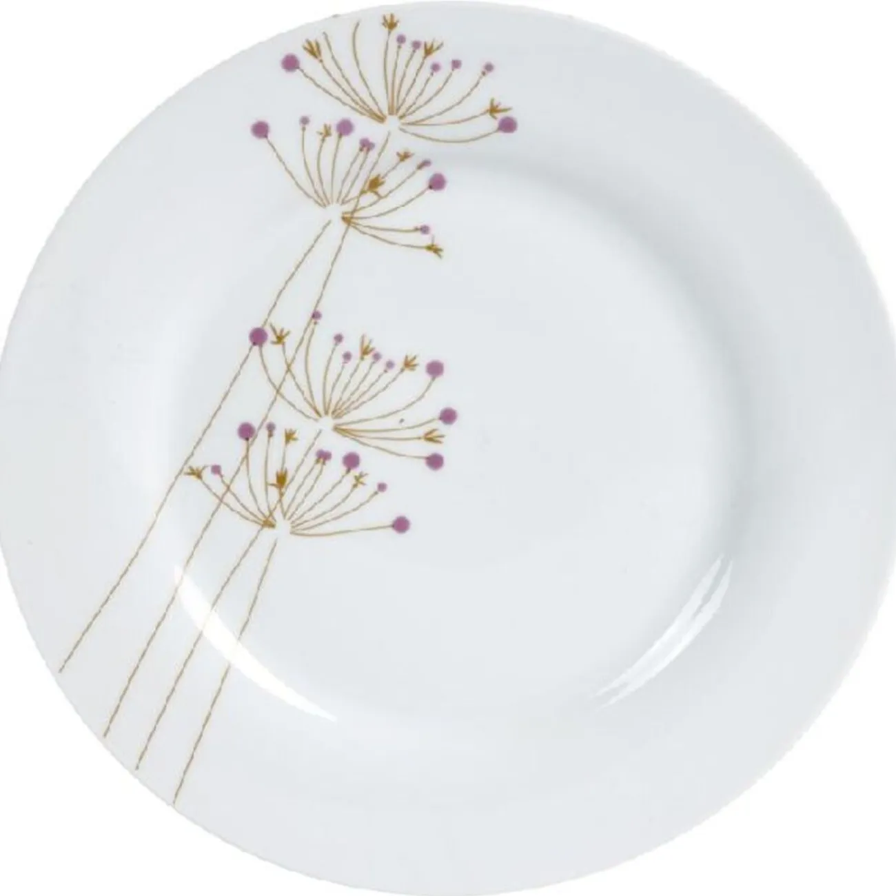 Best Assiette plate porcelaine Vaisselle Et Accessoires De Table