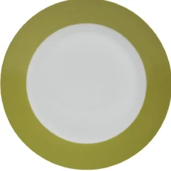 Assiette plate ronde verte et blanche|Gifi Outlet
