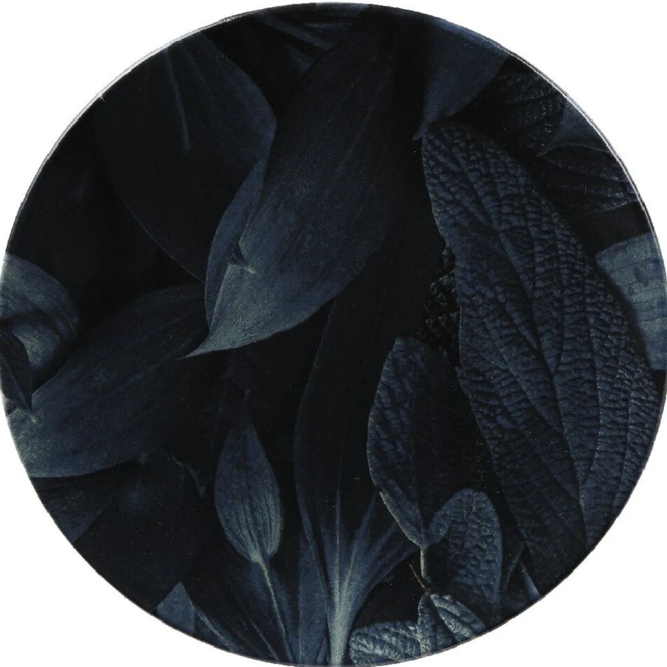 Assiette ronde plate motif feuillage vert noir|Gifi Clearance