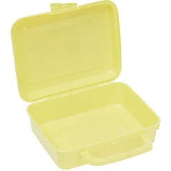 Best Boîte à sandwich rectangulaire avec anse plastique vert 16x20xH7cm Conservation Alimentaire