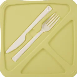 Sale Boîte lunch bleu ou vert Conservation Alimentaire