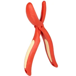 Sale Coupe chataignes rouge et jaune Préparation Culinaire