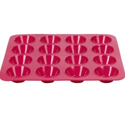 Clearance Moule silicone rose 16 petits fours Cuisson