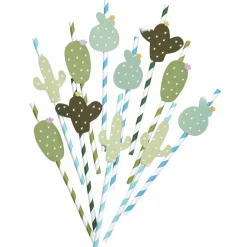 Paille cactus x20|Gifi Sale