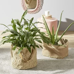 Discount Plat cuisson rectangulaire blanc bordure bleue 1L et 2L x2 Cuisson