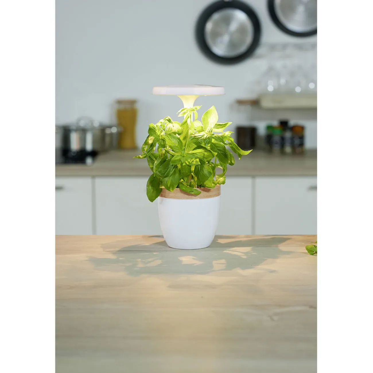 Potager d'intérieur à éclairage led CECOA|Gifi New