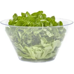 Saladier en plastique transparent|Gifi Sale