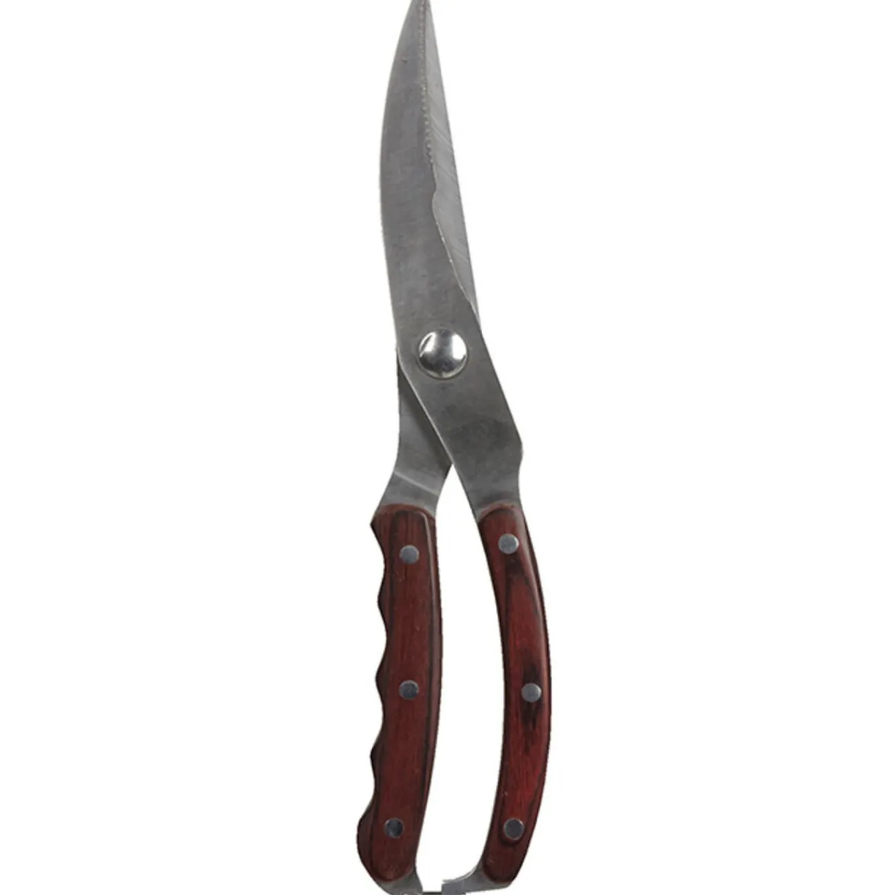 Discount Sécateur volaille Préparation Culinaire