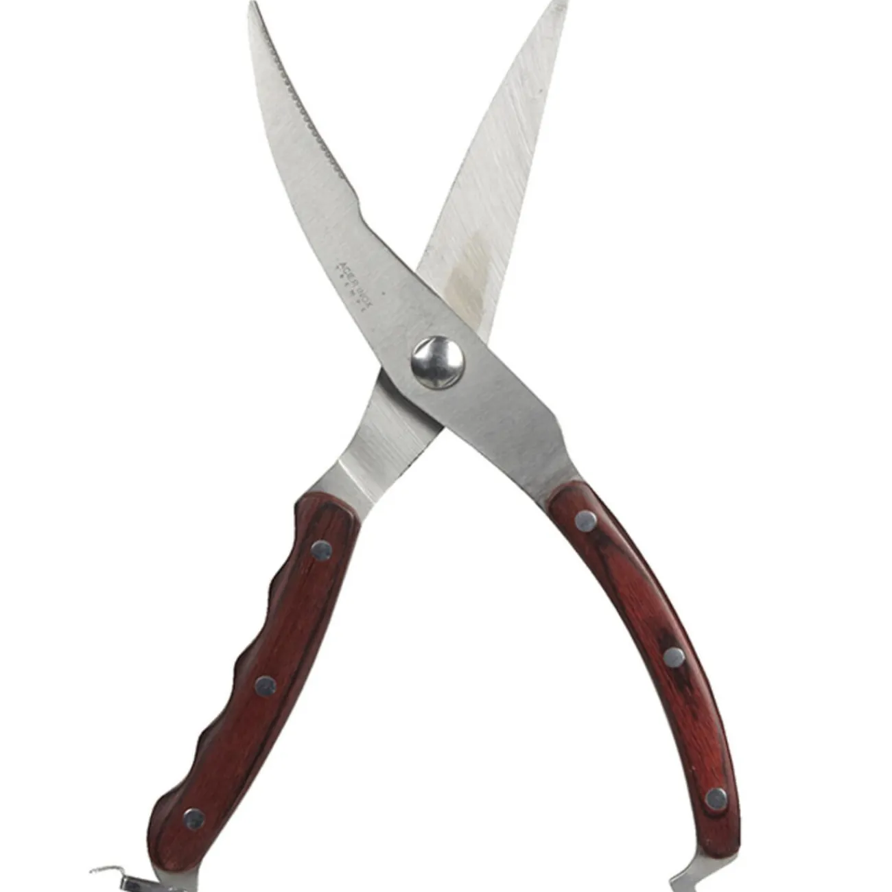 Discount Sécateur volaille Préparation Culinaire