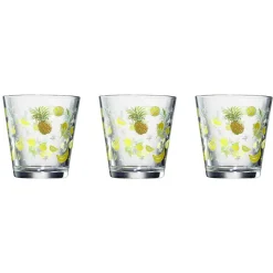 Verre conique bas motif exotique 25,5 cl x3|Gifi Clearance